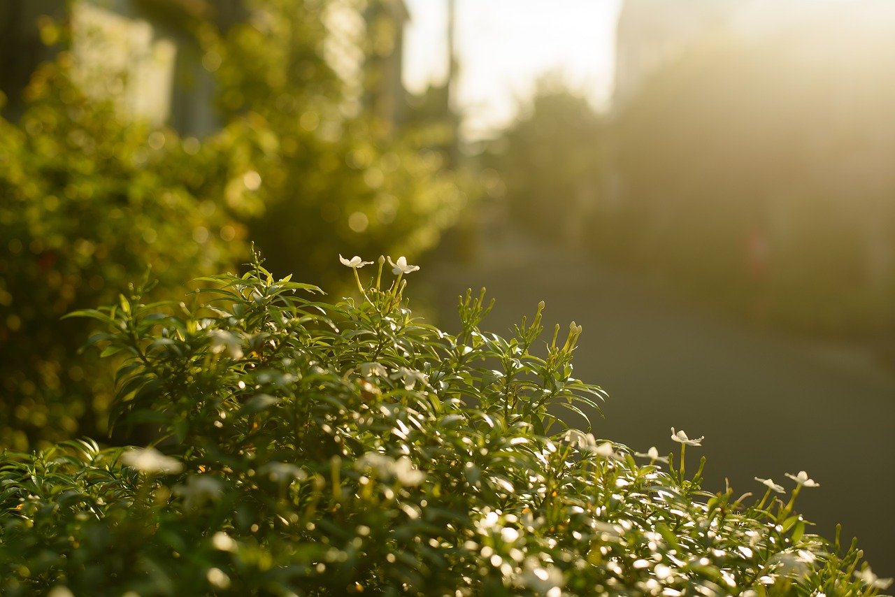 צילום: ממקורות פתוחים