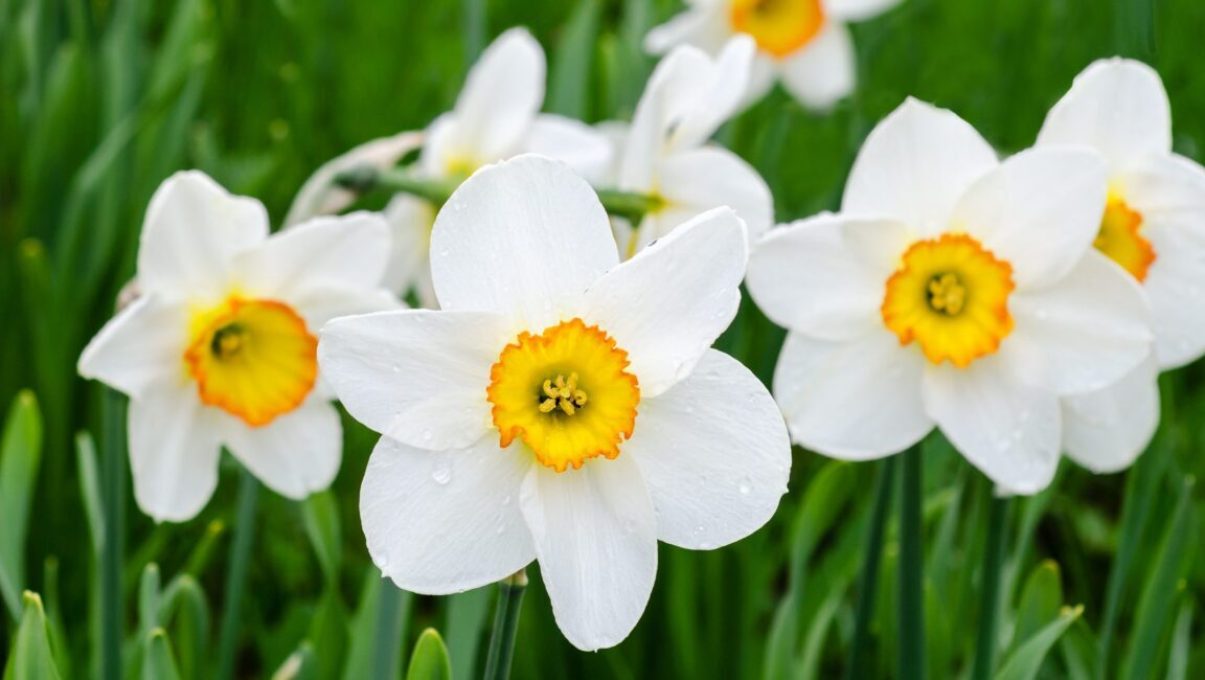 צילום: ממקורות פתוחים